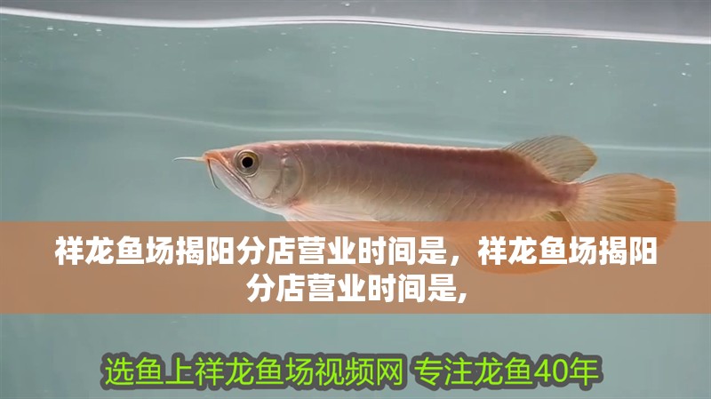 祥龍魚場揭陽分店營業時間是，祥龍魚場揭陽分店營業時間是,