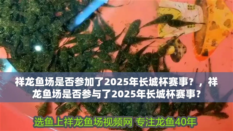 祥龍魚場是否參加了2025年長城杯賽事？，祥龍魚場是否參與了2025年長城杯賽事？