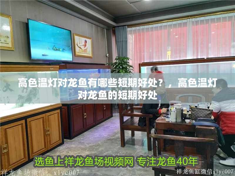 高色溫燈對龍魚有哪些短期好處？，高色溫燈對龍魚的短期好處