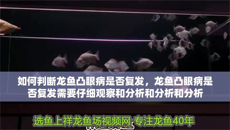 如何判斷龍魚凸眼病是否復(fù)發(fā)，龍魚凸眼病是否復(fù)發(fā)需要仔細(xì)觀察和分析和分析和分析
