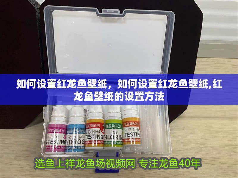 如何設置紅龍魚壁紙，如何設置紅龍魚壁紙,紅龍魚壁紙的設置方法