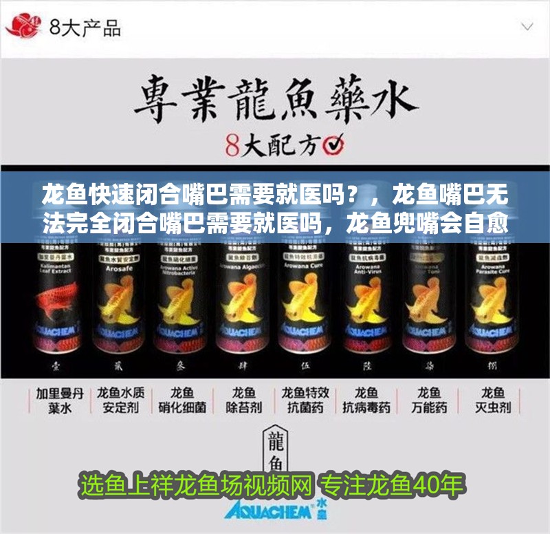 龍魚快速閉合嘴巴需要就醫(yī)嗎？，龍魚嘴巴無法完全閉合嘴巴需要就醫(yī)嗎，龍魚兜嘴會自愈嗎