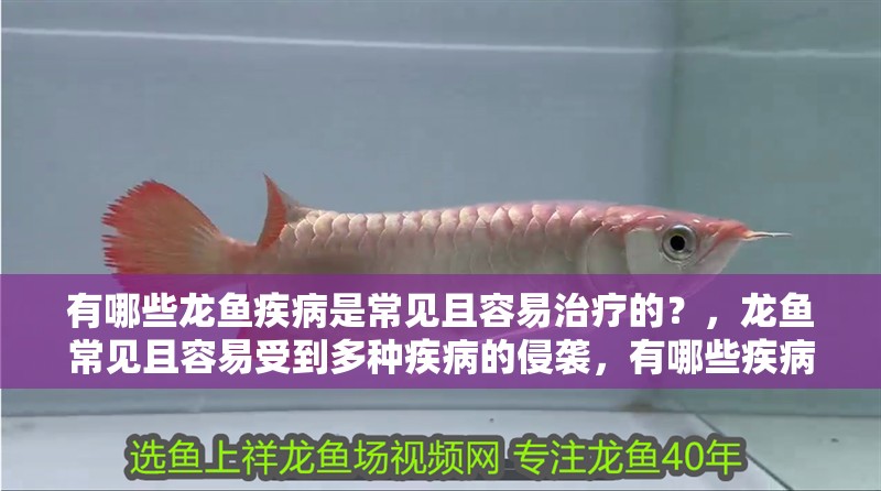 有哪些龍魚(yú)疾病是常見(jiàn)且容易治療的？，龍魚(yú)常見(jiàn)且容易受到多種疾病的侵襲，有哪些疾病是難治療的