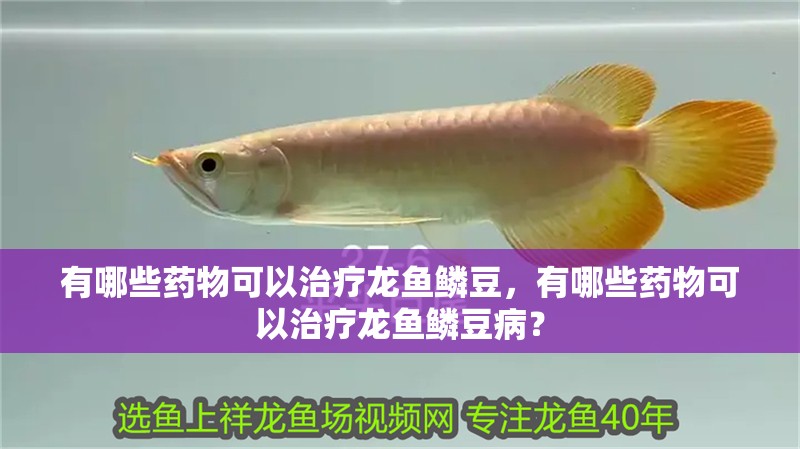 有哪些藥物可以治療龍魚鱗豆，有哪些藥物可以治療龍魚鱗豆病？