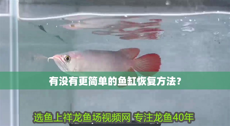 有沒有更簡單的魚缸恢復方法？