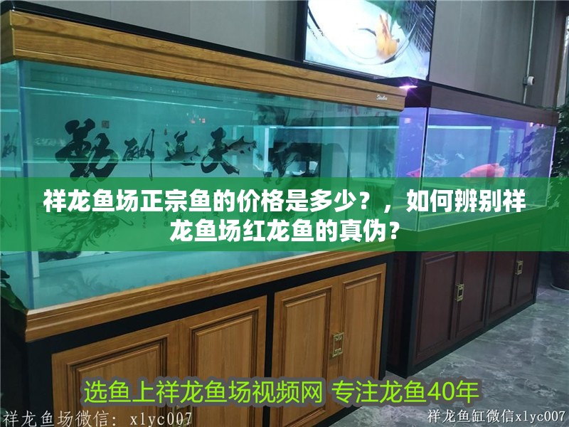 祥龍魚場正宗魚的價格是多少？，如何辨別祥龍魚場紅龍魚的真偽？