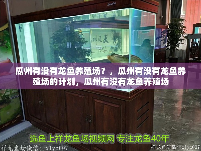瓜州有沒有龍魚養殖場？，瓜州有沒有龍魚養殖場的計劃，瓜州有沒有龍魚養殖場