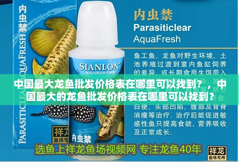 中國最大龍魚批發(fā)價格表在哪里可以找到？，中國最大的龍魚批發(fā)價格表在哪里可以找到？