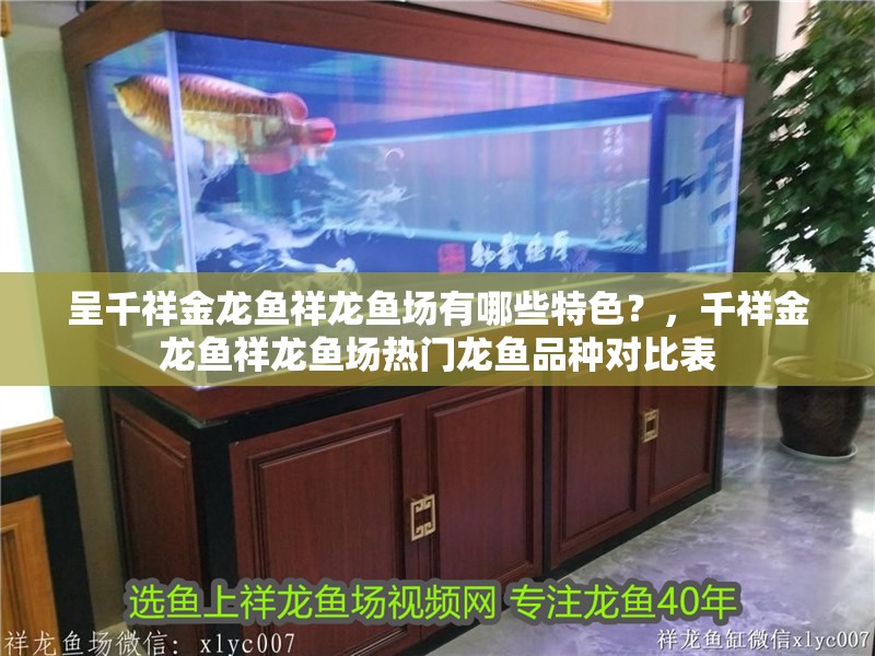 呈千祥金龍魚祥龍魚場有哪些特色？，千祥金龍魚祥龍魚場熱門龍魚品種對比表