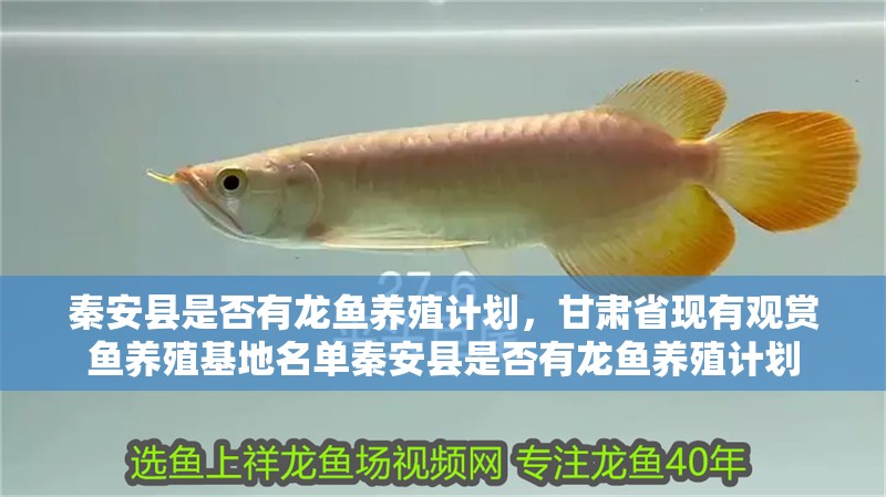 秦安縣是否有龍魚養(yǎng)殖計劃，甘肅省現(xiàn)有觀賞魚養(yǎng)殖基地名單秦安縣是否有龍魚養(yǎng)殖計劃