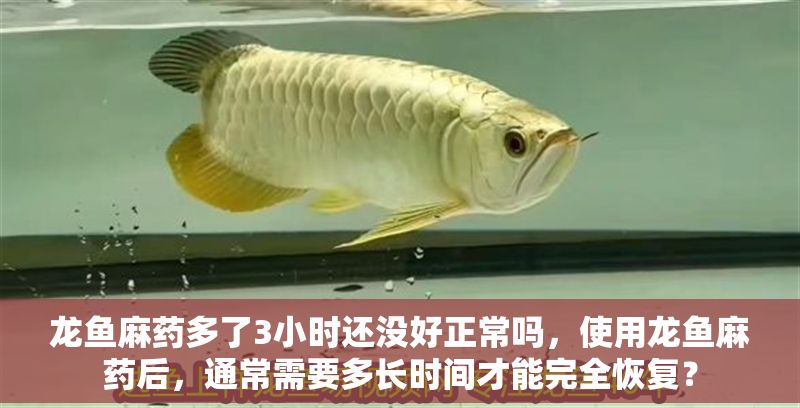 龍魚麻藥多了3小時還沒好正常嗎，使用龍魚麻藥后，通常需要多長時間才能完全恢復？