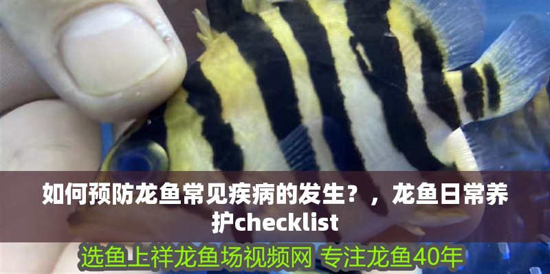 如何預(yù)防龍魚(yú)常見(jiàn)疾病的發(fā)生？，龍魚(yú)日常養(yǎng)護(hù)checklist
