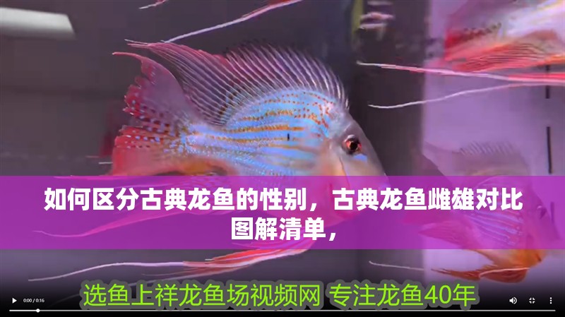 如何區分古典龍魚的性別，古典龍魚雌雄對比圖解清單，