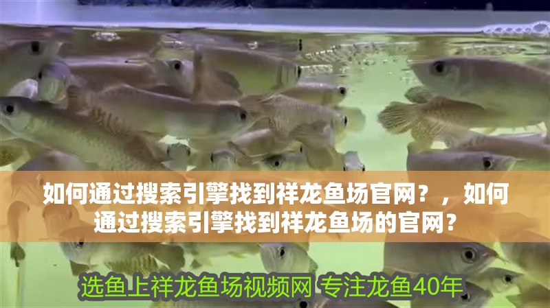 如何通過搜索引擎找到祥龍魚場官網？，如何通過搜索引擎找到祥龍魚場的官網？