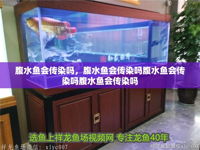 腹水魚會傳染嗎，腹水魚會傳染嗎腹水魚會傳染嗎腹水魚會傳染嗎