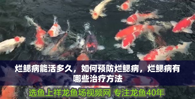 爛鰓病能活多久，如何預防爛鰓病，爛鰓病有哪些治療方法