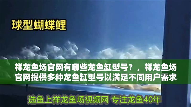 祥龍魚場官網有哪些龍魚缸型號？，祥龍魚場官網提供多種龍魚缸型號以滿足不同用戶需求