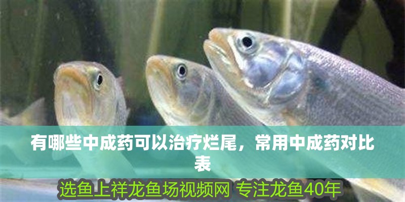 有哪些中成藥可以治療爛尾，常用中成藥對比表