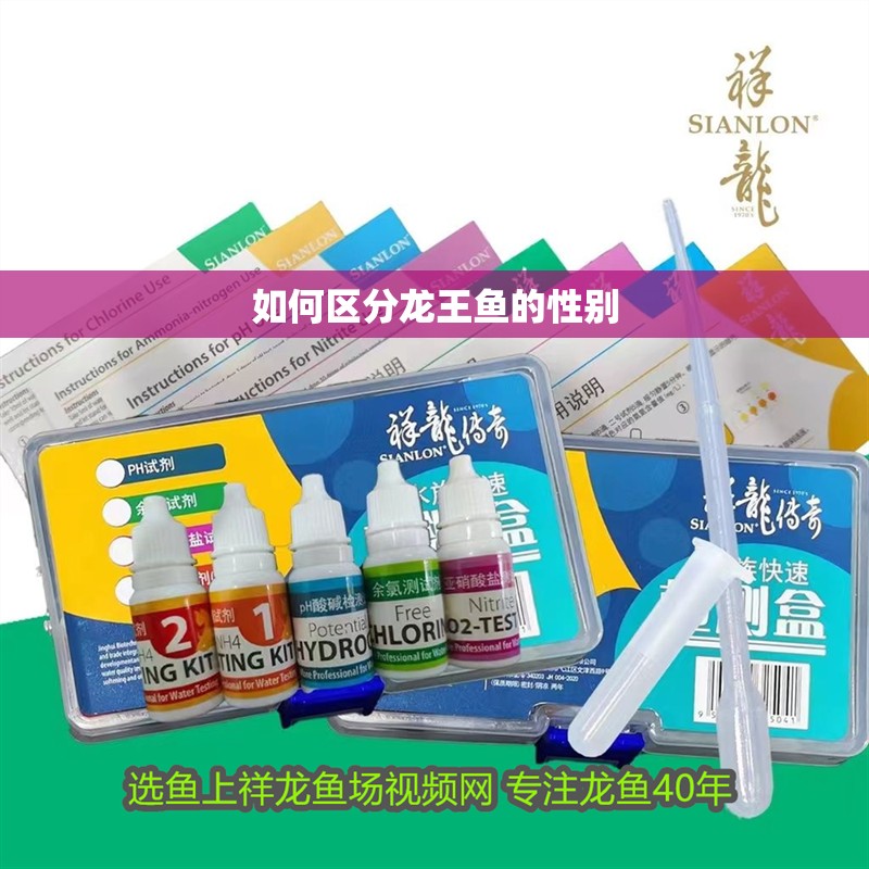 如何區分龍王魚的性別