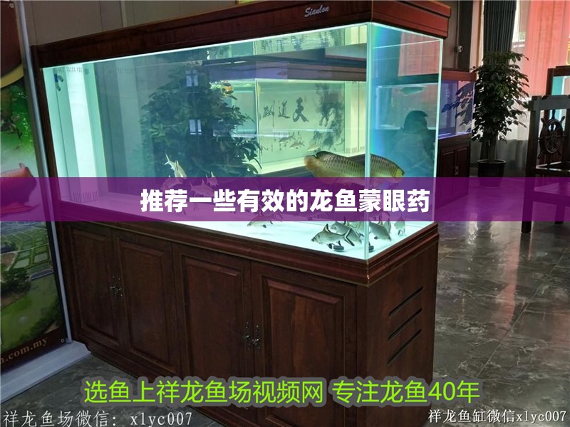 推薦一些有效的龍魚蒙眼藥