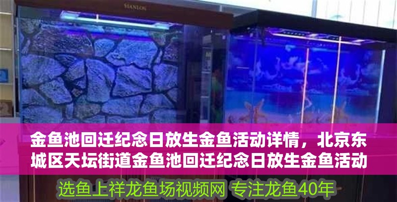 金魚池回遷紀念日放生金魚活動詳情，北京東城區天壇街道金魚池回遷紀念日放生金魚活動詳情