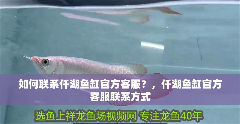 如何聯(lián)系仟湖魚(yú)缸官方客服？，仟湖魚(yú)缸官方客服聯(lián)系方式
