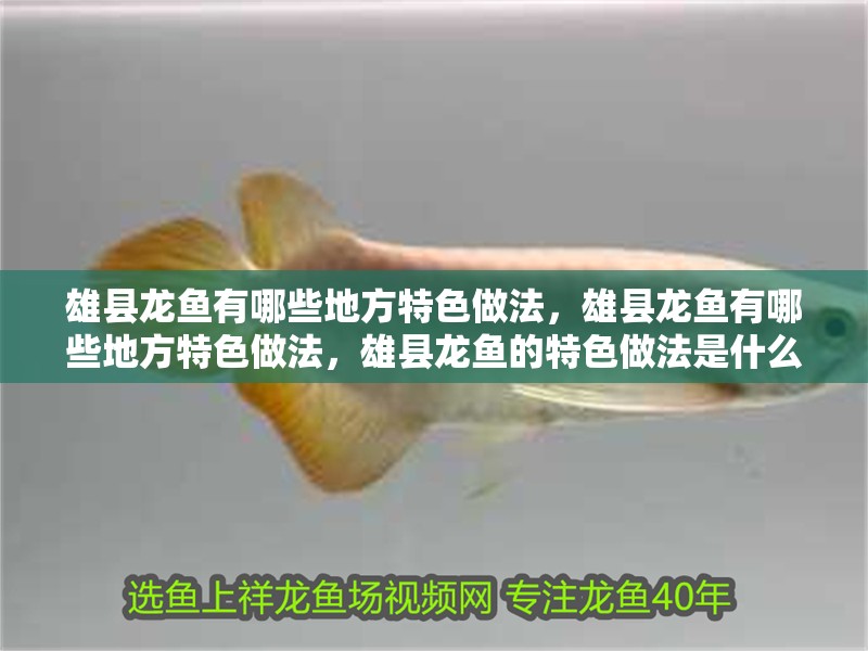 雄縣龍魚有哪些地方特色做法，雄縣龍魚有哪些地方特色做法，雄縣龍魚的特色做法是什么