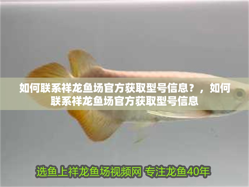 如何聯系祥龍魚場官方獲取型號信息？，如何聯系祥龍魚場官方獲取型號信息