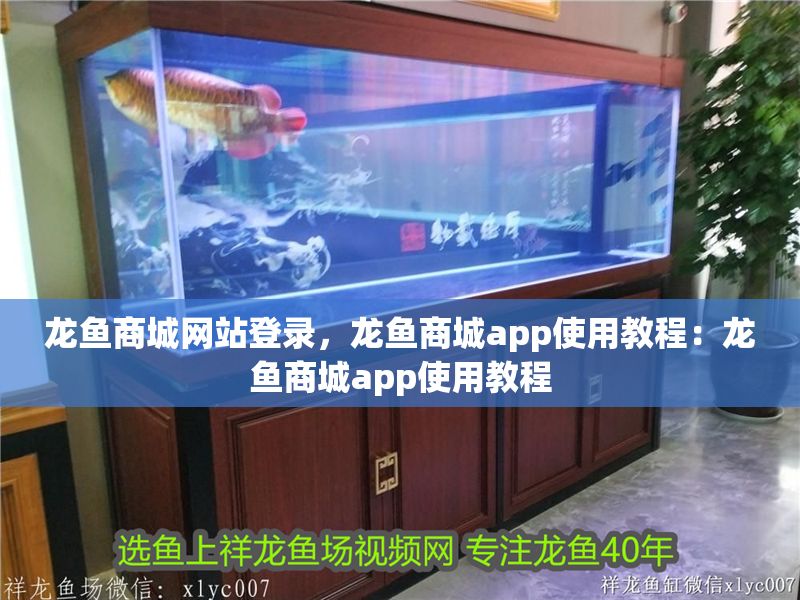 龍魚商城網(wǎng)站登錄，龍魚商城app使用教程：龍魚商城app使用教程
