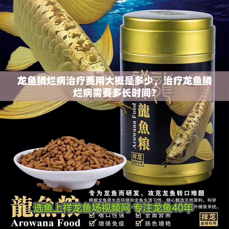 龍魚鱗爛病治療費用大概是多少，治療龍魚鱗爛病需要多長時間？
