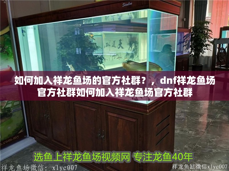 如何加入祥龍魚場的官方社群？，dnf祥龍魚場官方社群如何加入祥龍魚場官方社群