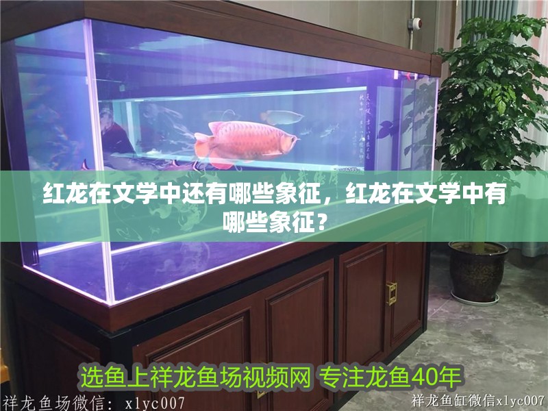 紅龍在文學中還有哪些象征，紅龍在文學中有哪些象征？