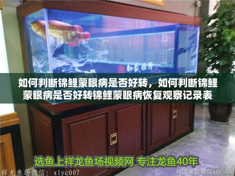 如何判斷錦鯉蒙眼病是否好轉(zhuǎn)，如何判斷錦鯉蒙眼病是否好轉(zhuǎn)錦鯉蒙眼病恢復觀察記錄表
