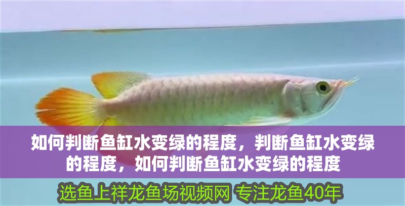 如何判斷魚缸水變綠的程度，判斷魚缸水變綠的程度，如何判斷魚缸水變綠的程度