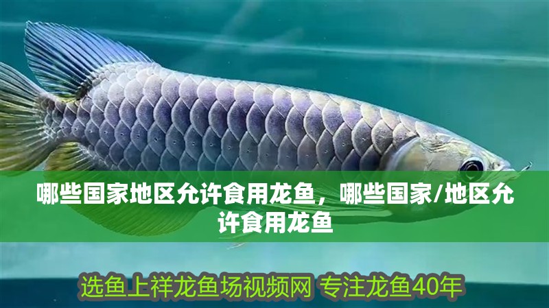 哪些國家地區允許食用龍魚，哪些國家/地區允許食用龍魚
