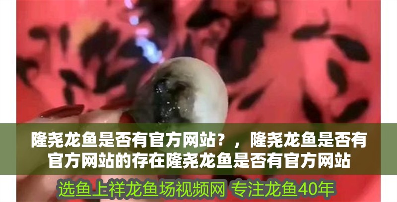 隆堯龍魚是否有官方網(wǎng)站？，隆堯龍魚是否有官方網(wǎng)站的存在隆堯龍魚是否有官方網(wǎng)站
