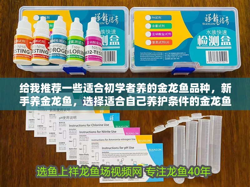 給我推薦一些適合初學者養的金龍魚品種，新手養金龍魚，選擇適合自己養護條件的金龍魚品種
