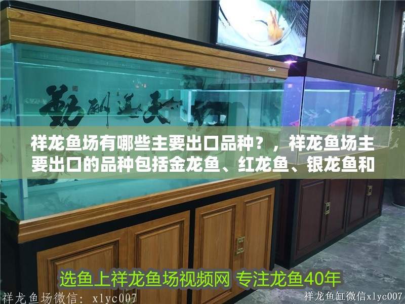 祥龍魚場有哪些主要出口品種？，祥龍魚場主要出口的品種包括金龍魚、紅龍魚、銀龍魚和銀龍魚