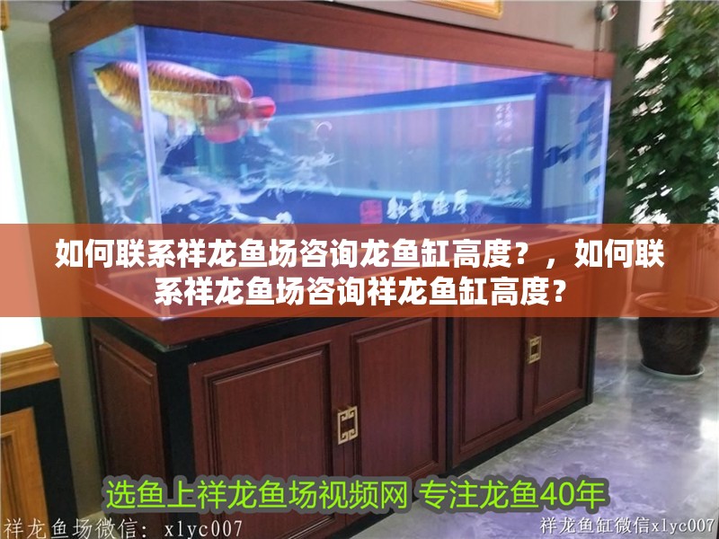 如何聯系祥龍魚場咨詢龍魚缸高度？，如何聯系祥龍魚場咨詢祥龍魚缸高度？