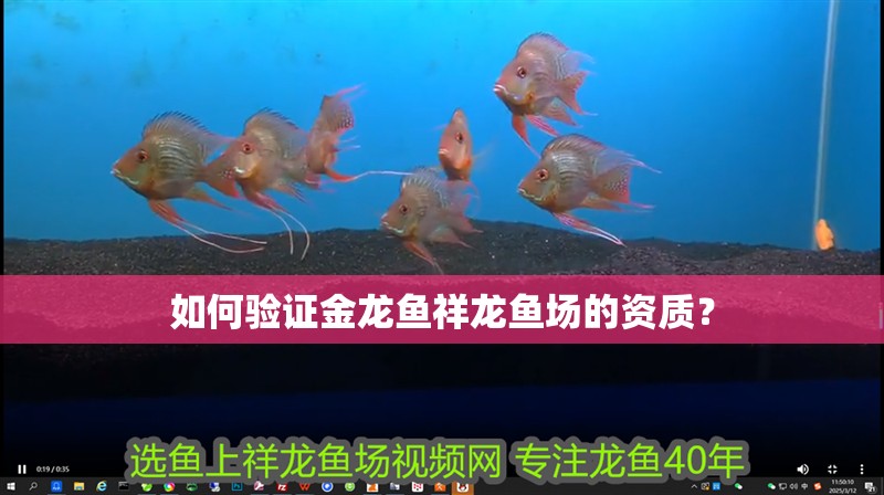 如何驗證金龍魚祥龍魚場的資質？