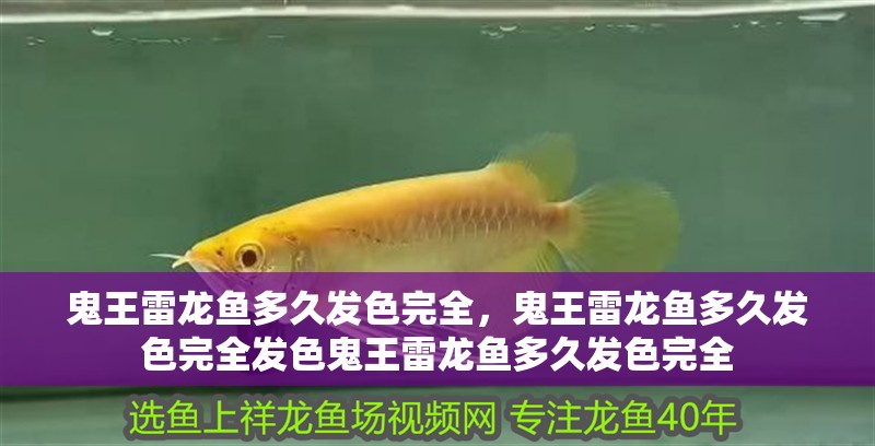 鬼王雷龍魚多久發色完全，鬼王雷龍魚多久發色完全發色鬼王雷龍魚多久發色完全