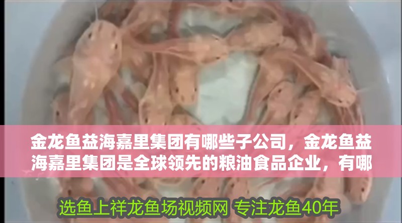 金龍魚益海嘉里集團有哪些子公司，金龍魚益海嘉里集團是全球領先的糧油食品企業，有哪些子公司