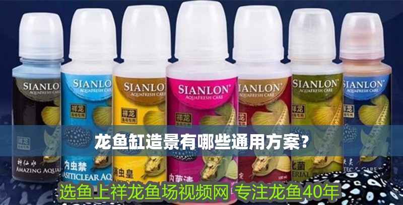 龍魚缸造景有哪些通用方案？