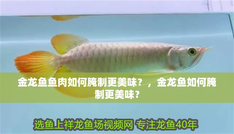 金龍魚魚肉如何腌制更美味？，金龍魚如何腌制更美味？