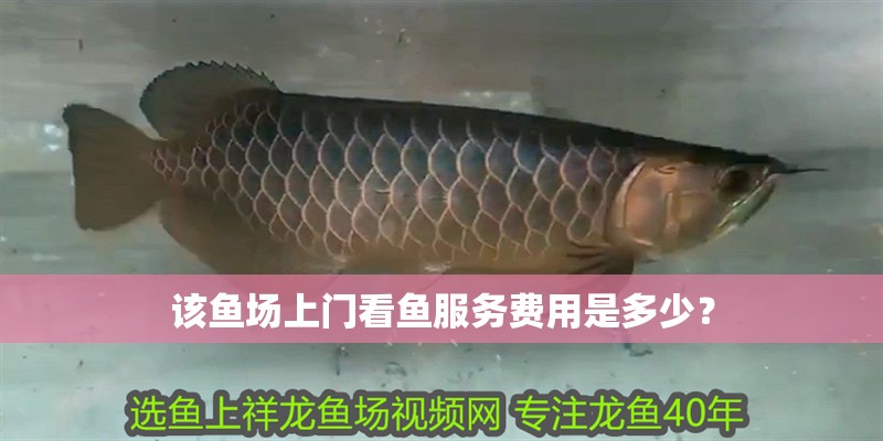 該魚場上門看魚服務費用是多少？