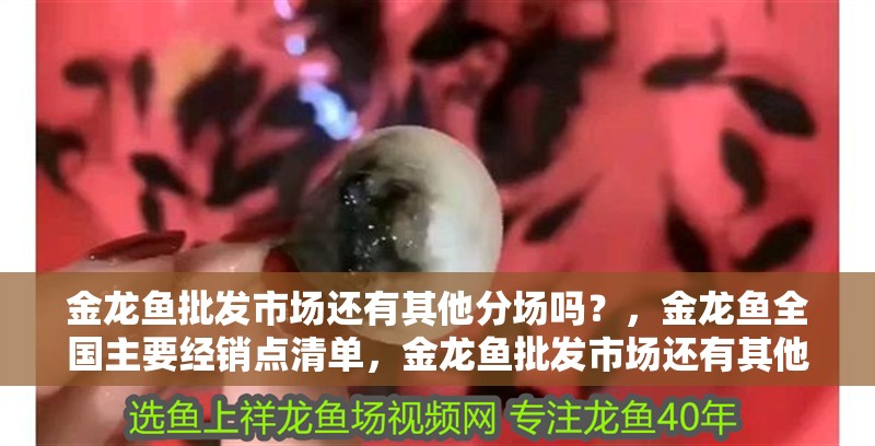 金龍魚批發市場還有其他分場嗎？，金龍魚全國主要經銷點清單，金龍魚批發市場還有其他分場嗎