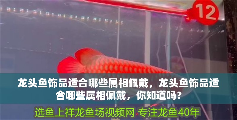 龍頭魚飾品適合哪些屬相佩戴，龍頭魚飾品適合哪些屬相佩戴，你知道嗎？