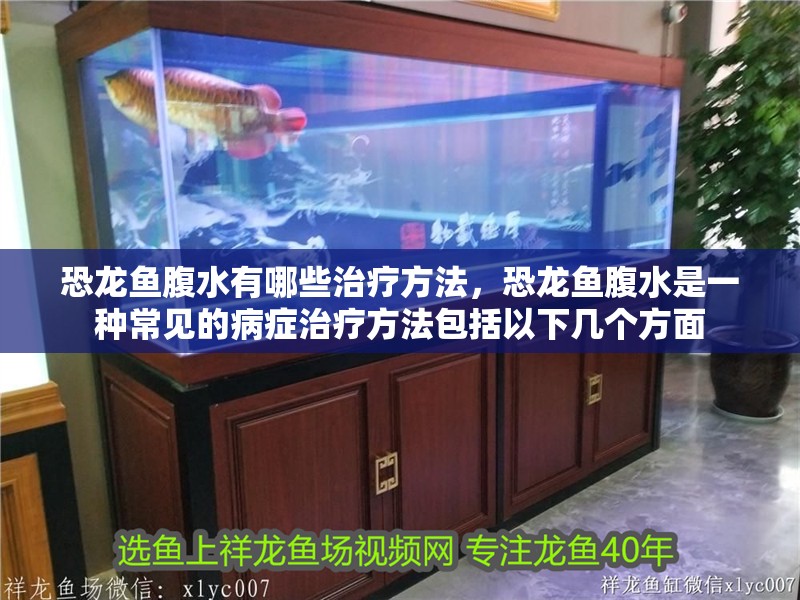 恐龍魚腹水有哪些治療方法，恐龍魚腹水是一種常見的病癥治療方法包括以下幾個方面