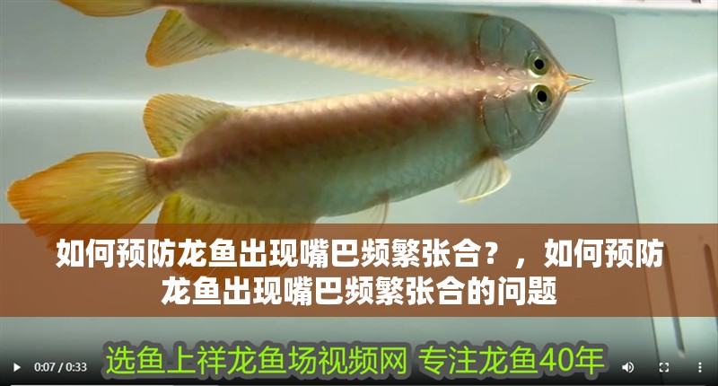 如何預(yù)防龍魚(yú)出現(xiàn)嘴巴頻繁張合？，如何預(yù)防龍魚(yú)出現(xiàn)嘴巴頻繁張合的問(wèn)題