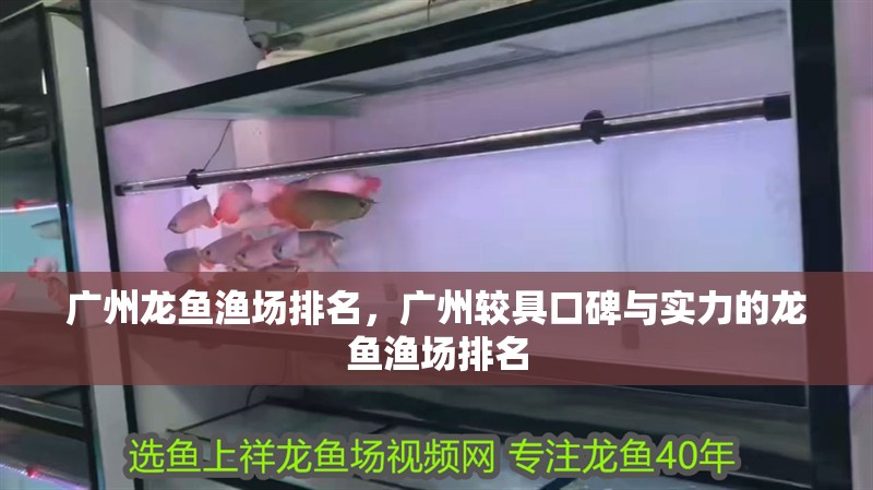 廣州龍魚漁場排名，廣州較具口碑與實力的龍魚漁場排名